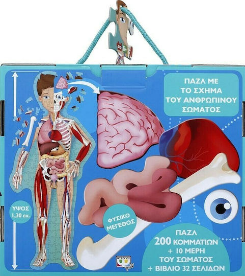 Learn and Explore, the Human Body