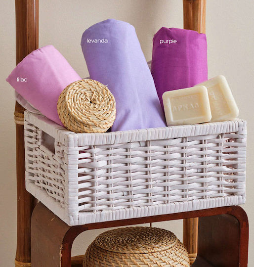 Cokitex Angel Double Bed Sheet with Rubber Band 150x200x25cm Purple