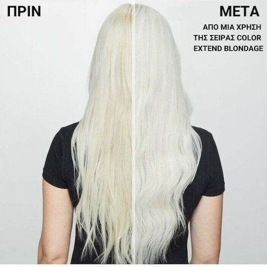 Redken Color Extend Blondage Маска за коса за Защита на цвета 250мл