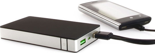 PowerNeed P10000B Power Bank 10000mAh με 2 Θύρες USB-A Μαύρο