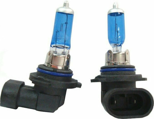 Xtec Лампи Автомобила HB4-9006 Халогенни 4200К Неутрално бяло 12V 55W 2бр