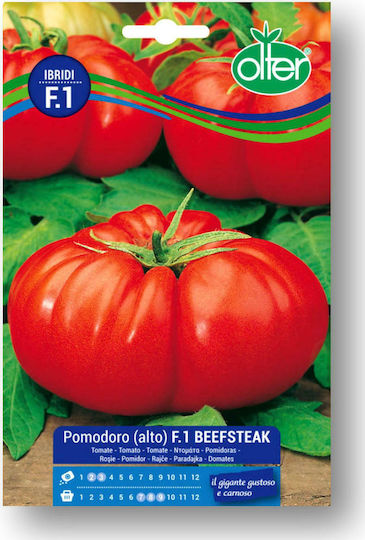 Olter Σπόροι Τομάτας Beefsteak