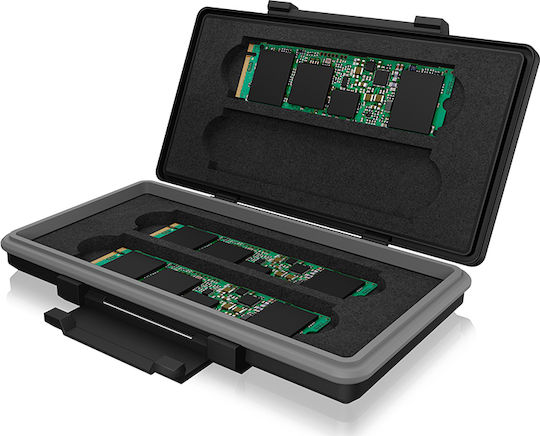 Icy Box IB-AC620-M2 Card Case SSD