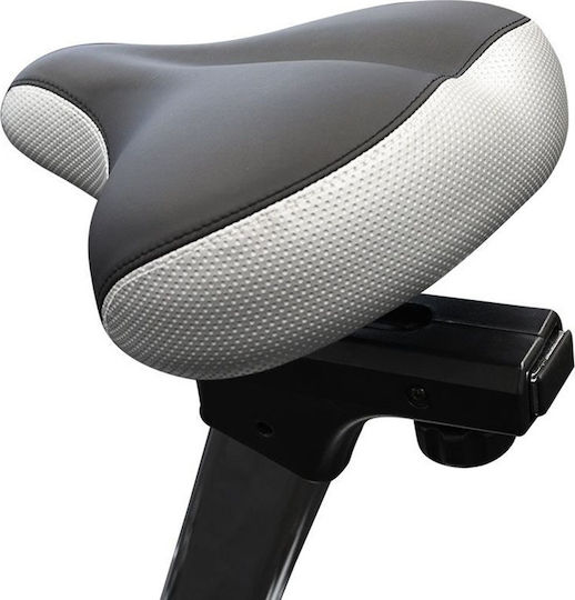 Horizon Fitness Upright Exercise Bike Electromagnetic