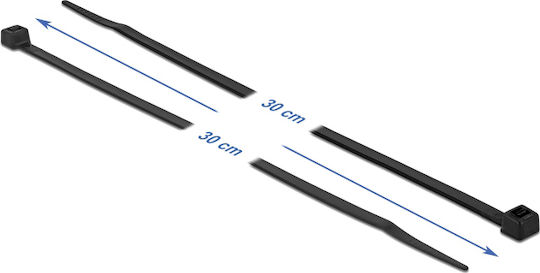 DeLock Cable Ties Plastic 300mm x 4.8mm in Black Colour (100 pcs) (19202)