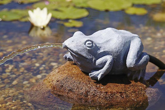 Oase Water Spouts Frog Decorațiune Acvariu
