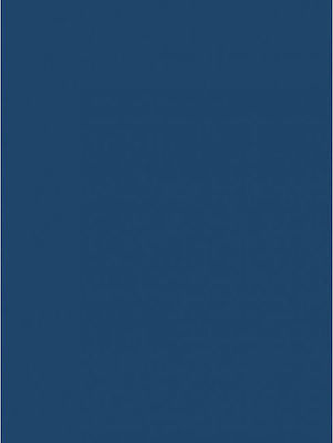 Canson Χαρτόνι Κανσόν Colorline Διπλής Όψης Μπλε Ultramarine 220gr 50x70εκ.