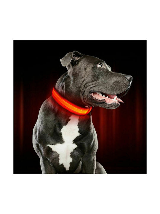 Dog Collar Nylon in Yellow color Collar with Lighting 34-44cm Black