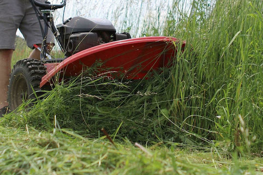 Vari Αυτοκινούμενος Καταστροφέας Βενζίνης 6.5hp