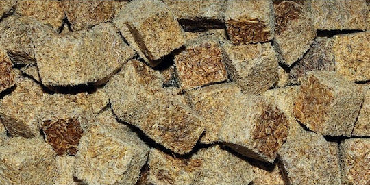 Dajana Tubifex Cubes Fischfutter für Fische 100ml 10g