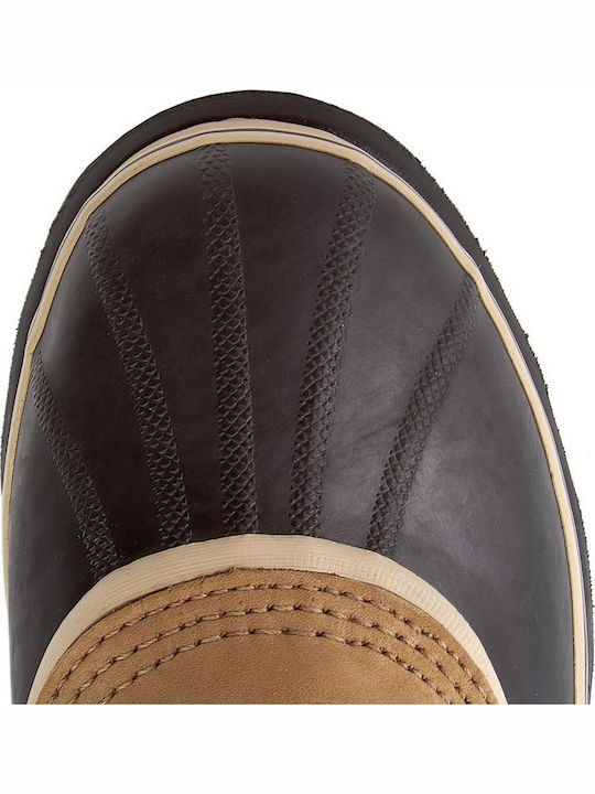 Caribou Brown