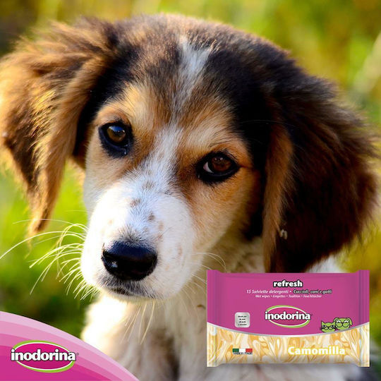 Inodorina Refresh Dog Body Cleansing Pads Alcohol Free 15pcs