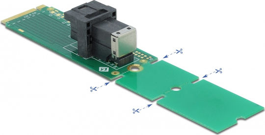 DeLock DeLock PCIe Erweiterungskarte für M.2 Schnittstelle