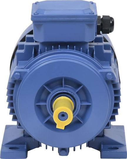 vidaXL Τριφασικός Ηλεκτροκινητήρας 2hp Μέγιστων Στροφών 2840rpm με Σφήνα 400V