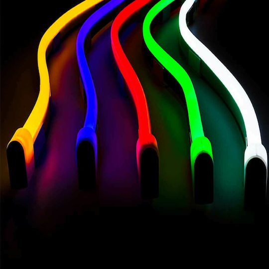 Astralux Wasserdicht LED-Streifen 220V RGB Licht 3m Neon Flex mit Netzteil