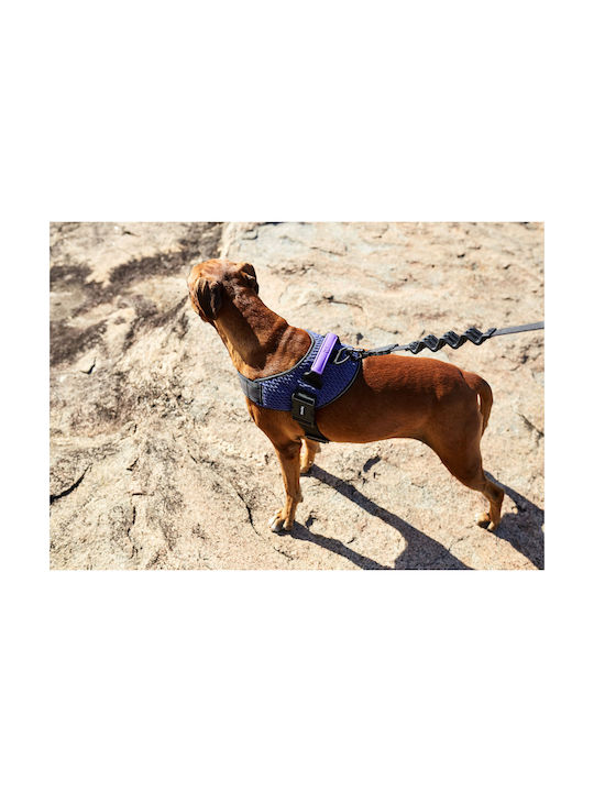 Zee-Dog Wicked Fly Harness 34-49εκ. Size 1