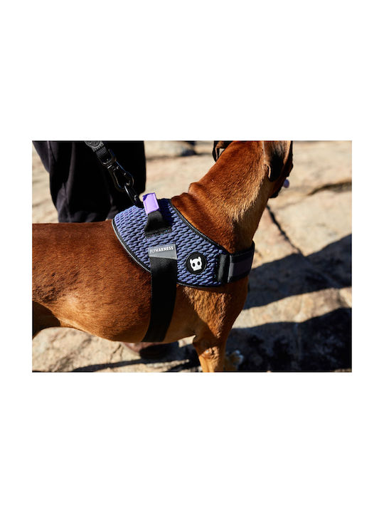Zee-Dog Wicked Fly Harness 34-49εκ. Size 1