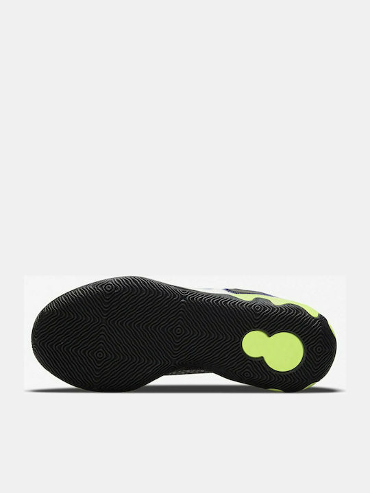 Renew Elevate II Low Basketball Shoes Multicolour