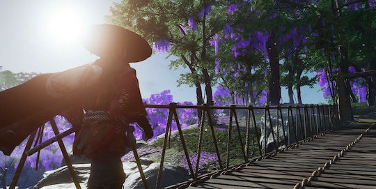 Ghost of Tsushima Director's Cut Edition PS5-Spiel