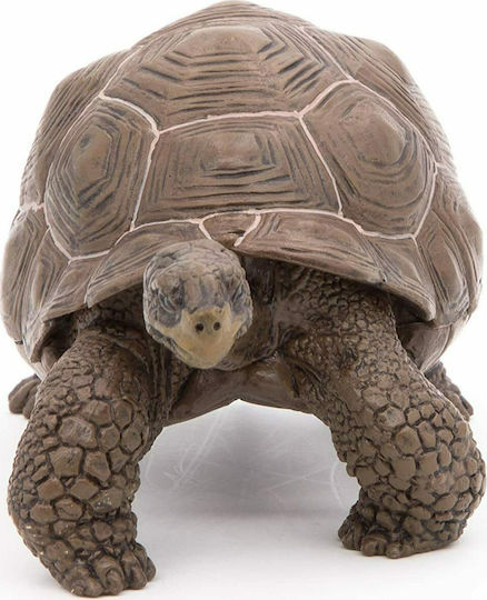 Papo Țestoasă Galápagos Pentru 3+ Ani 5.3 Cm