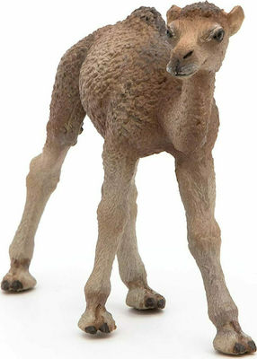 Papo Παιχνίδι Μινιατούρα Dromedary Calf 30εκ.