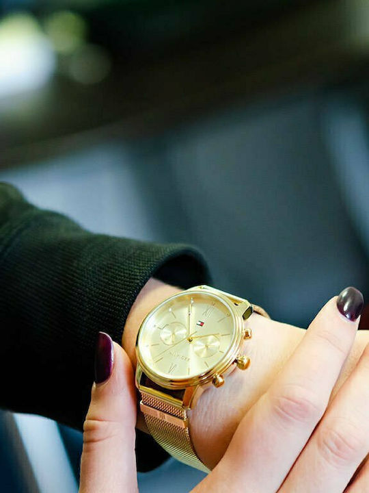 Tommy Hilfiger Blake Crystals Women's Watch Chronograph with Gold Metal Bracelet