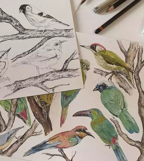 Makaszka Ornithology Πάντα Κλασική Εσωτερική 25x210cm Makaszka Ornithology Πάντα Κλασική Εσωτερική 25x210cm