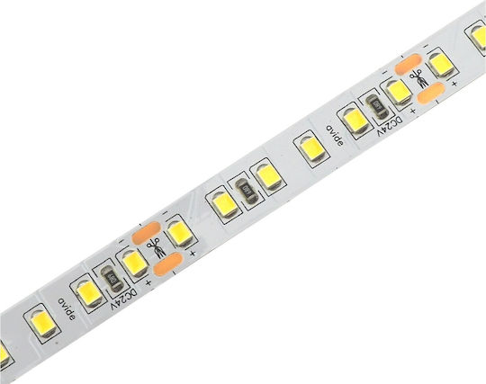 Avide Ταινία LED ABLS24V2835-120NW20 24V Φυσικό Λευκό Φως 5m Τύπου SMD2835