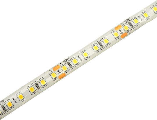 Avide Waterproof LED Strip ABLS24V2835-120NW65 24V Natural White Light 5m Type SMD2835