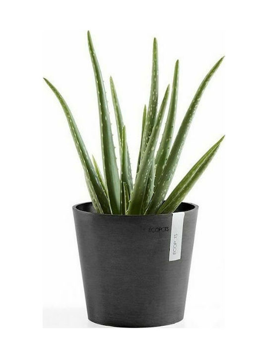 Ecopots Amsterdam Mini 17 Blumentopf Hängend 17x14.9cm in Gray Farbe 74.009.17A