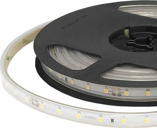 Cubalux Waterproof LED Strip 24V Warm White Light 5m Type COB