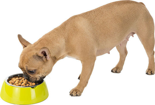 Ferplast Jolie Stainless Steel Bowl Food & Water for Dog & Cat 1.2lt 23.3cm in Green Color