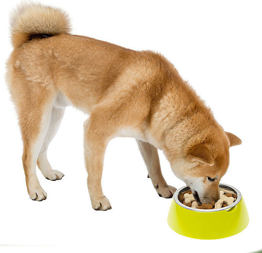Ferplast Jolie Stainless Steel Bowl Food & Water for Dog & Cat 1.2lt 23.3cm in Green Color