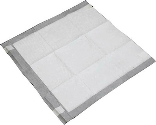 Record Assorbi Piu Επιδαπέδια Πάνα Σκύλου με Αυτοκόλλητο 60x60cm 11τμχ