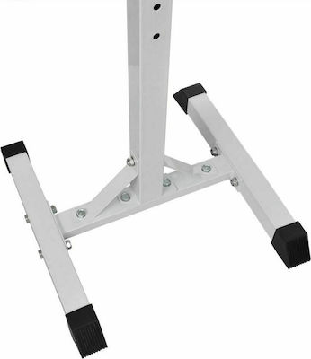 vidaXL Barbell Rack for Weight Bars