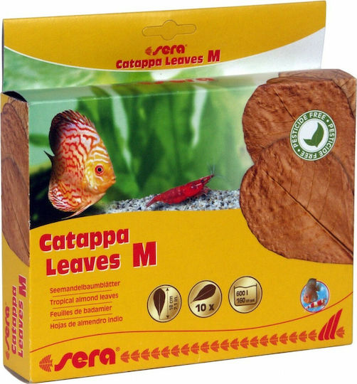 Sera Catappa Leaves M Aquarium Water Treatment for Environment Protection