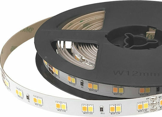 Cubalux LED Strip 24V Adjustable White Light 5m