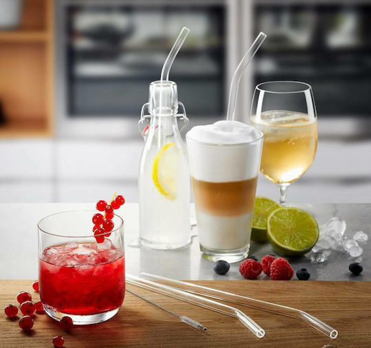 Gefu Glass Straws with Brush 4 Pieces