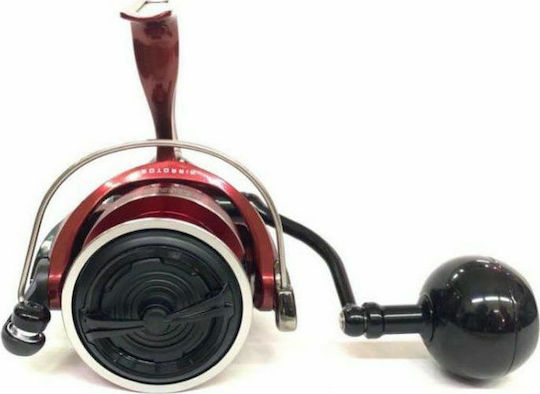 Daiwa BG LT RR ARK Fishing Reel for Shore Jigging and Spinning
