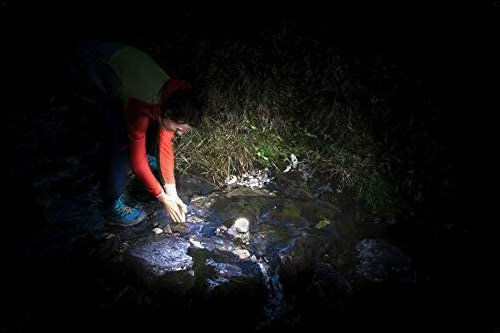 Brennenstuhl OLI 0300 A Lanternă Lumini LED Reîncărcabilă Pentru Camping 350 Lumen