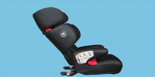 Renolux Renofix 2 Baby Car Seat with ISOfix Passion 15-36 kg