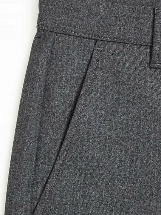 Pisa Arius Trousers in Regular Fit Gray
