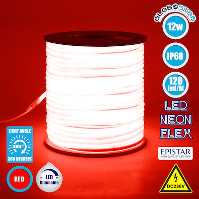 GloboStar Waterproof Neon Flex LED Strip Power Supply 220V with Red Light Length 1m and 120 LEDs per Meter