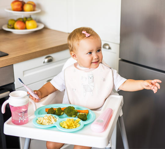 Babyono Βρεφικό Κουτάλι από Σιλικόνη σε Θήκη Pink