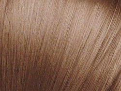Calvani Hair Thinning Coverage Powder With Kera...