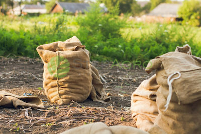 SP10748 Olive Harvesting Bag made of Jute 55x105cm 1 pieces