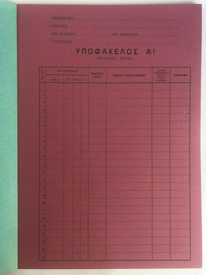 Logigraf Папка Зеленς 3-3910