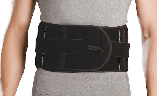 E-Life Bracing Elastic Back Brace For Pain Relief with 21cm High Stays in Black Color E-WA003