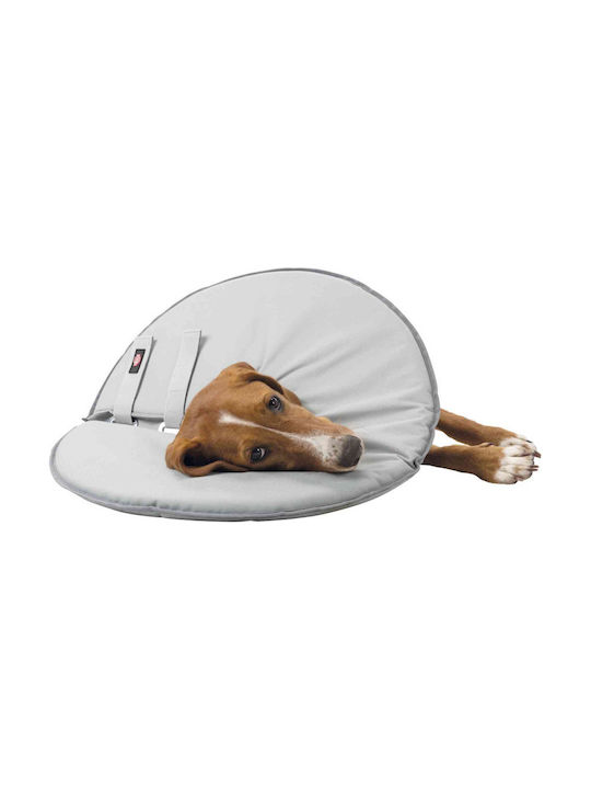 Trixie Protective Dog Collar in White color Small 30-34cm/19.5cm Small