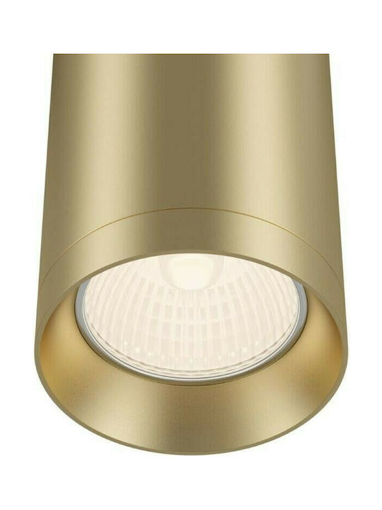 Maytoni Shelby Pendant Light Single-Light for Socket GU10 Gold